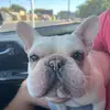 pdub - @peyton...clifton - TikTok
