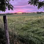 Peyton coe - @peyton_forlife333 - Instagram