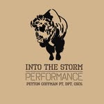 Dr. Peyton Coffman PT, DPT, CSCS - Into The Storm Performance - @intothestormperformance - Instagram