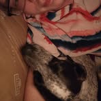 Peyton Connors - Facebook