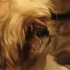 peytonconrad151 - @peytonconrad151 - TikTok