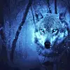 peyton.conrad - @sup.meh.family.uwu - TikTok
