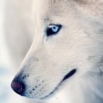 Peyton - @peytoncoulter335 - Instagram