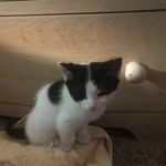 Cms - @peytoncowan123 - Instagram