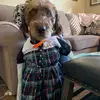 Peyton - @peyton.cowan - TikTok