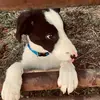 peyton.c - @peytoncraven - TikTok