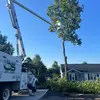 peyton_criswell - @peyton_criswell - TikTok