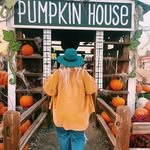 Peyton Dalton - @peyt.ondalton - Instagram