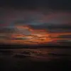 Peyton - @peyton_farr7 - TikTok