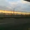 peyton_fine2 - @peyton_fine2 - TikTok