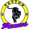 . - @peyton_fine_people - TikTok
