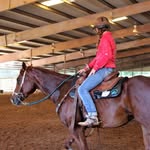 Peyton Francis - @francisperformancehorses - Instagram