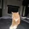 Peyton - @peyton_francis2 - TikTok