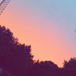 Peyton fraser - @peytonfraser13 - Instagram