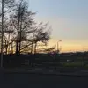 peytonfraser123 - @peytonfraser123 - TikTok