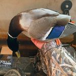 Peyton Gentry - @peyton_gentry115 - Instagram