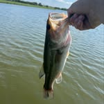 peyton glenn - @peytong971 - Instagram