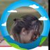 Peyton Gulley - Facebook