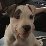 Hunter Peyton Guthrie - @hunter_g.13 - Instagram