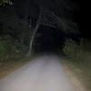Peyton_guy02 - @wizkaz14 - TikTok