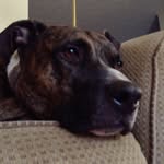 Peyton Harrelson - @peypey605 - Instagram