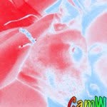 Peyton Holbrook - @i_love_u112 - Instagram