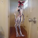 Peyton Holbrook - Facebook