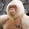 peytonhorton961 - @peytonhorton961 - TikTok