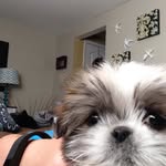 Peyton Hunter - @peyton7870 - Instagram