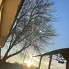 Peyton Hunter - @forgvttenx - TikTok
