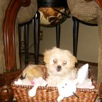 Peyton Hutton - Facebook