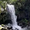 peyton kopp - @peyton.kopp - TikTok