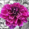 Rana_Jay - @peyton_koppp - TikTok