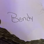 Peyton Land - @bendy0978 - Instagram