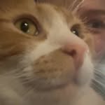 Peytonlarson - @peytonlarson14 - Instagram