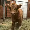Peyton Lea - @peytonn.leaa - TikTok