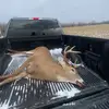 🦌peytonligon🦌 - @peytonligon - TikTok