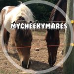 ⠀⠀⠀⠀⠀⠀⠀⠀⠀∞ Peyton & Lilly ∞ - @mycheekymares - Instagram