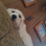 Peyton Lilly - @peytonlilly59 - Instagram