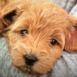 Peyton Lilly - @peytonlilly25 - Instagram