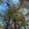 Peyton Lockey - @peyton.lockey - TikTok