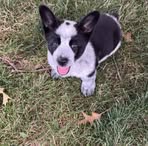 Peyton Lutz - Facebook