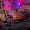 Peyton - @peytonlutz430 - TikTok
