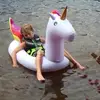 peyton - @peytonlynch7 - TikTok