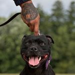 Peyton Shyva Barksdell - @peytonzebiiimachine - Instagram