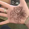 Peyton Mccoy - @peyton.mccoy2 - TikTok