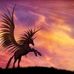 Peyton Mcdougall - Facebook