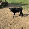 Peyton McMahon - @peytonm84 - TikTok