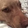 Peyton monkey - @peytonmcmullen808 - TikTok