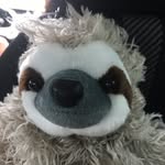 Peyton Moody - @bailey_the_sloth123 - Instagram